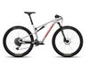 Santa Cruz Blur C-S Matte Silver TR Medium