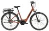 Trek Verve+ 1 Lowstep L Penny Flake