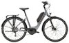 Trek Verve+ 1 Lowstep DT M Galactic Grey